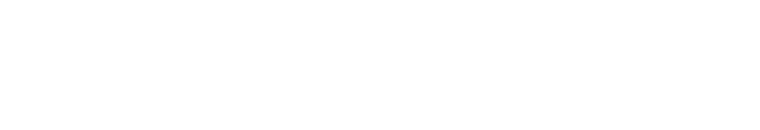 Kolbenhoefe
